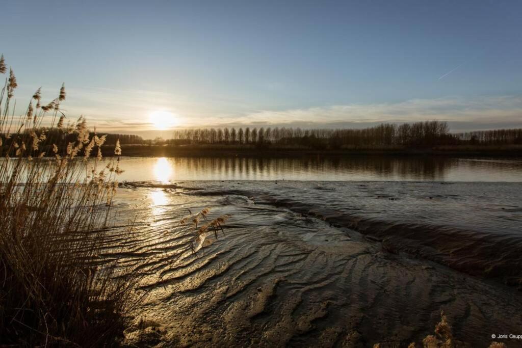 Amand'Eau - Zwemvijver, Zonneterras, Grote Tuin Sint-Amands Exterior foto